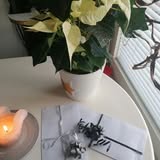 Kozmetični salon Talija — utrinek 2